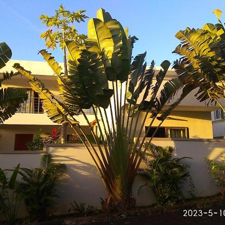 Appartment Ла-Ґулет Екстер'єр фото